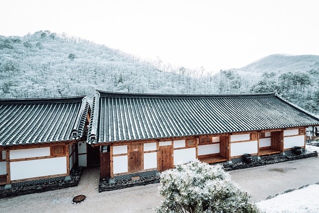 겨울 여행